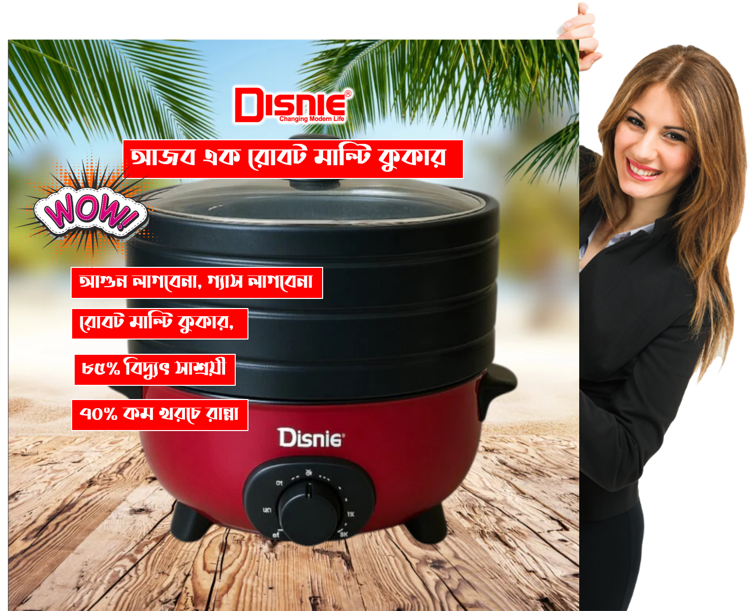 Electric Multi Curry Cooker with Glass Lid Safety protection for temperature Power manually adjustable | Disnie DMS3/4-5.5LTR