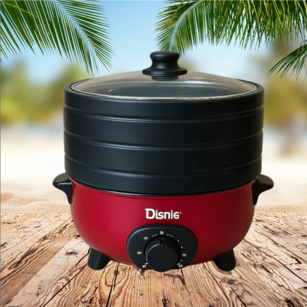 Electric Multi Curry Cooker with Glass Lid Safety protection for temperature Power manually adjustable | Disnie DMS3/4-5.5LTR